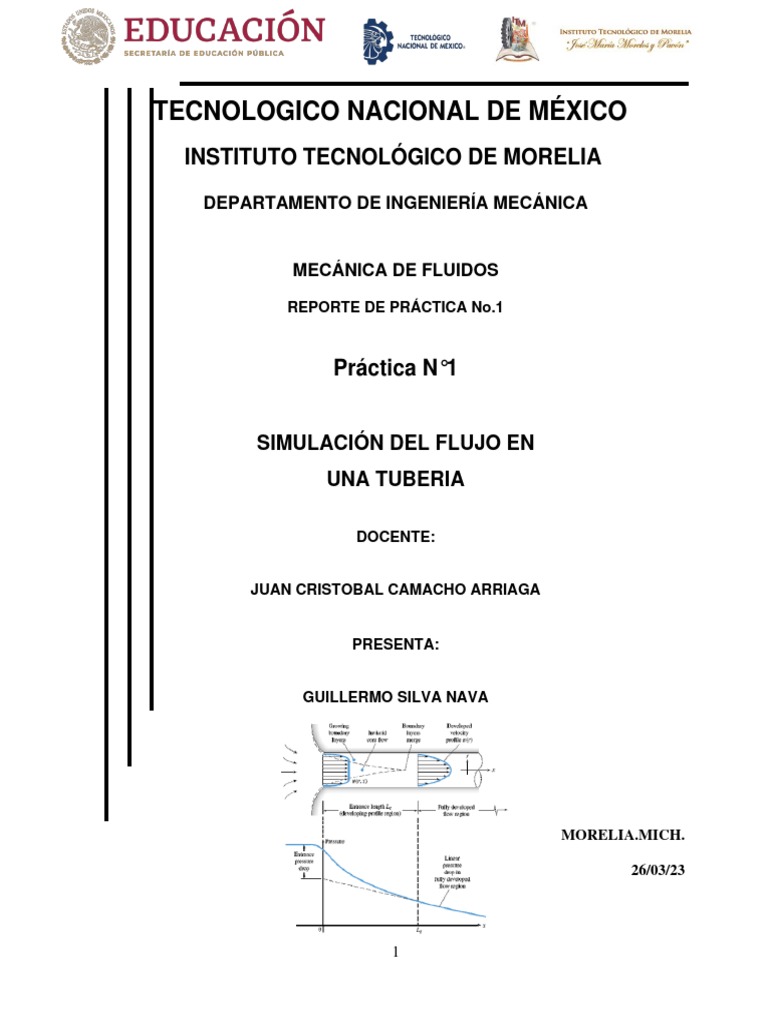 Simulacion Del Flujo en Una Tuberia | PDF | Informática | Tecnología