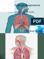 Anatomofisiologia Respiratoria Traquea Bronquios Pleura Respiracion