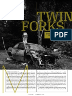 Twin Forks 3