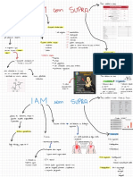 Mapa Mental IAMCST 2
