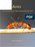 Ants - The Extraordinary World Beneath Our Feet