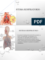 Sistema Respiratorio Expo