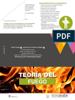 TEORIA DEL FUEGO - Ver4