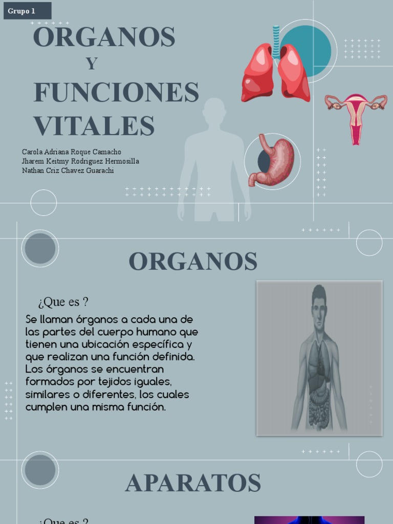 Copia de Science Subject For High School - 9th Grade - Vital Body ...