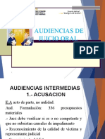 Audiencias en La Etapa Del Juicio