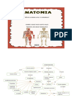 Anatomia Sistema Endocrino