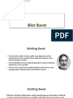 Western Blotting - En.id