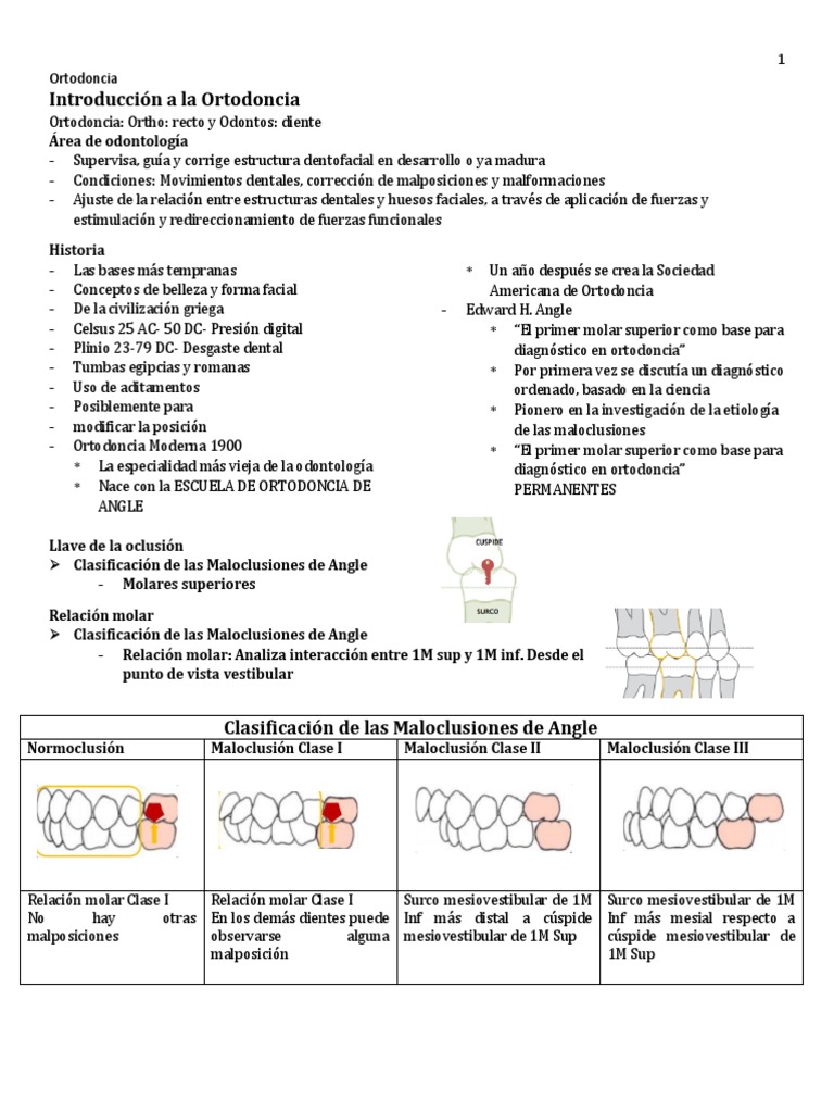Ortodoncia Resumen | PDF | Ortodoncia | Odontología