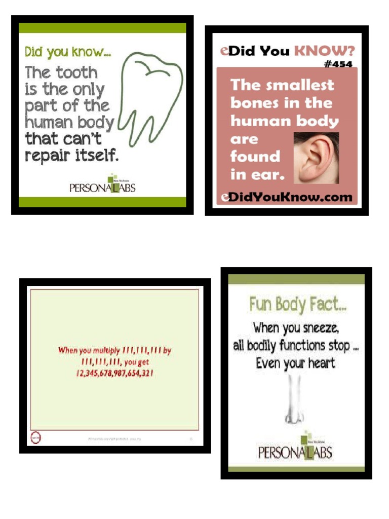 Bulletin Board Design PDF