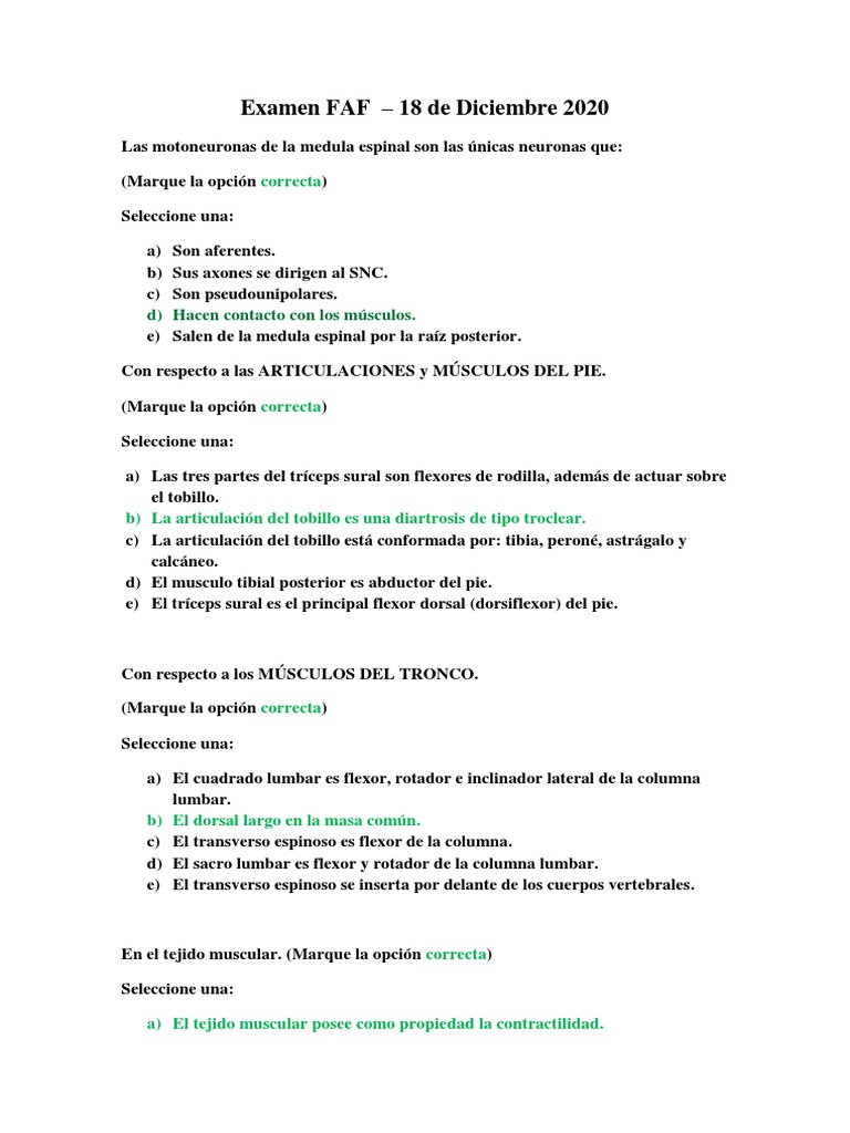 Examen FAF: Anatomía y Fisiología 2020 | PDF | Vértebra | Sinapsis