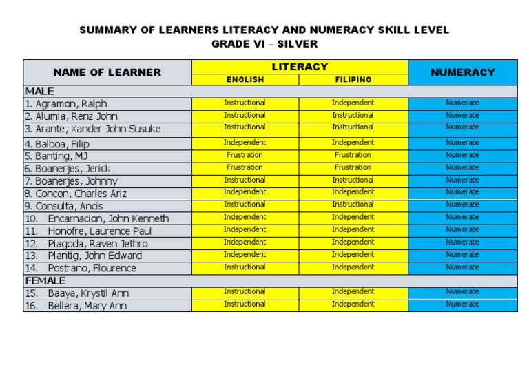 Literacy and Numeracy Skill Level PDF