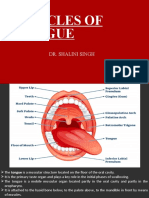 Muscles of Tongue