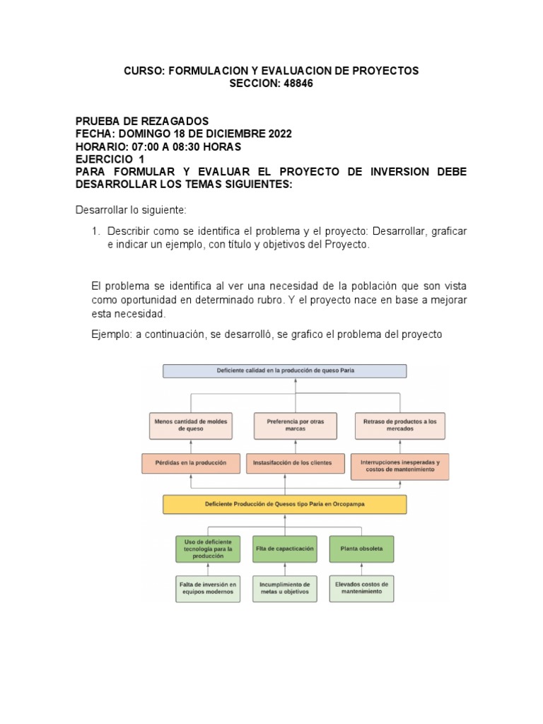 PRUEBA CALIFICADA EVALUACION FINAL - Gestion de Proyectos | PDF