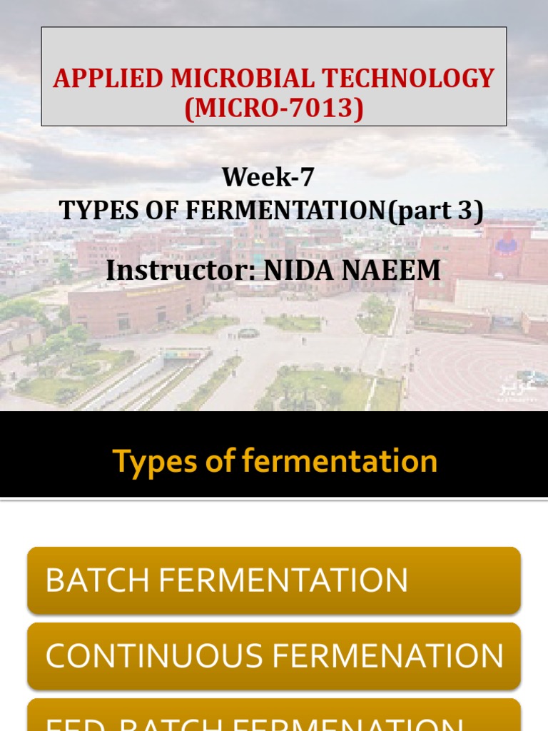 types of fermentation reactions