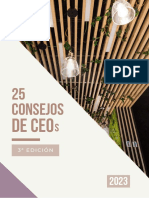 Consejos de CEOs para 2023