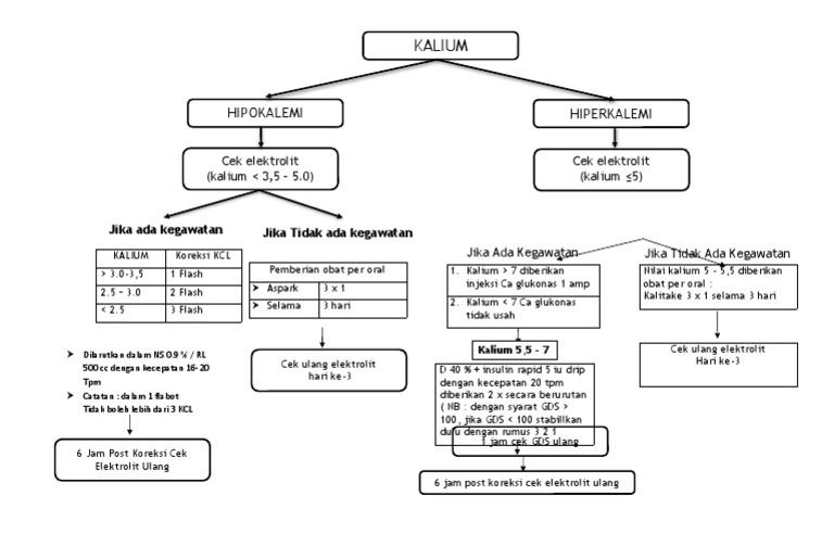 Protokol Koreksi Kalium pada Pasien | PDF