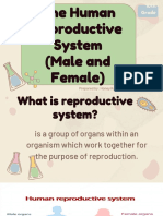 G10 Science Q3 The Human Reproductive System - Presentation