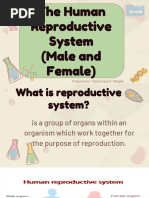 G10 Science Q3 The Human Reproductive System - Presentation