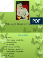 Aula - Patologia Do Sistema Reprodutor Masculino.