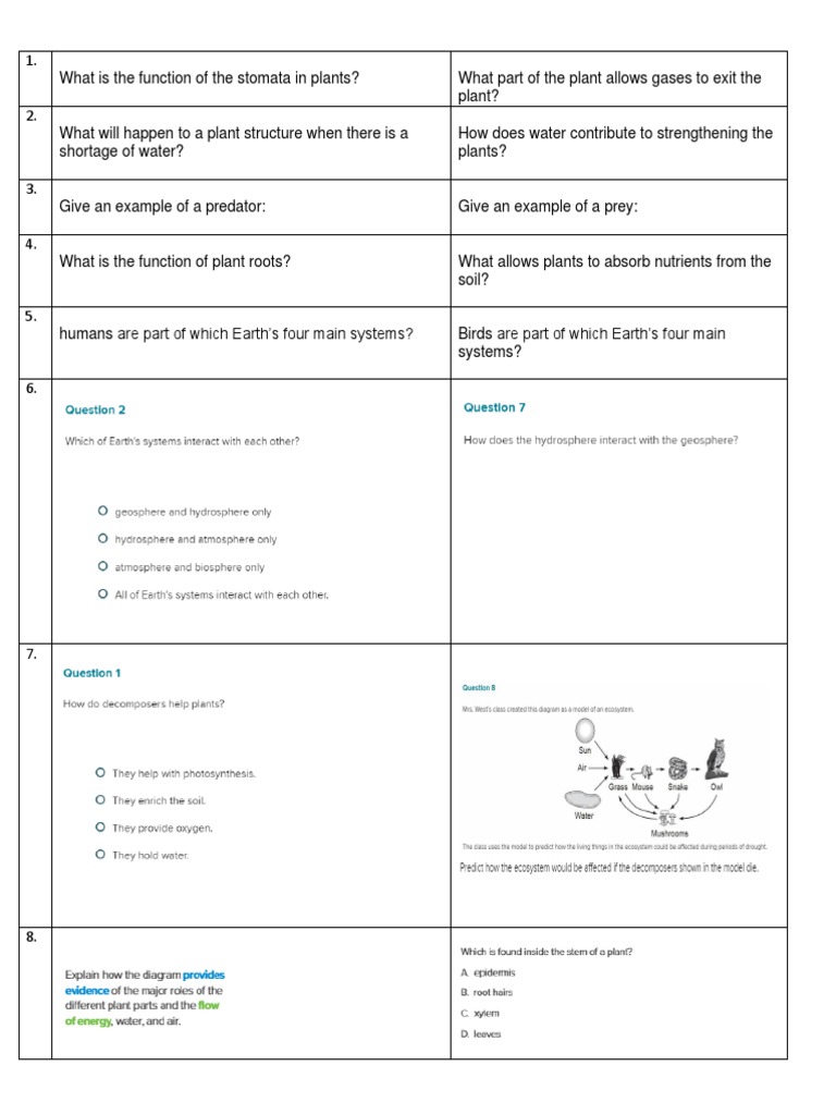 EoT3 G5 Elt Science Inspire Example | PDF | Home & Garden | Wellness