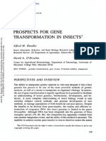 Prospects For Gene Transportation in Insects - Review 2