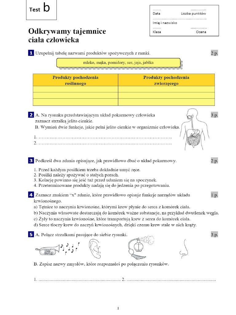 Przyroda Nowa Era Liceum Cz 2 Tajemnice Przyrody Klasa 4 Testy PDF Nowa Era | PDF