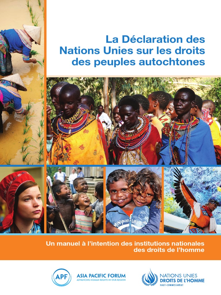 Manuel sur les droits des peuples autochtones | PDF | Populations ...