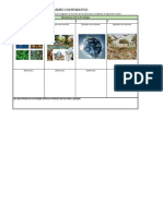 Cuadro Comparativo de Las Divisiones de La Ecología