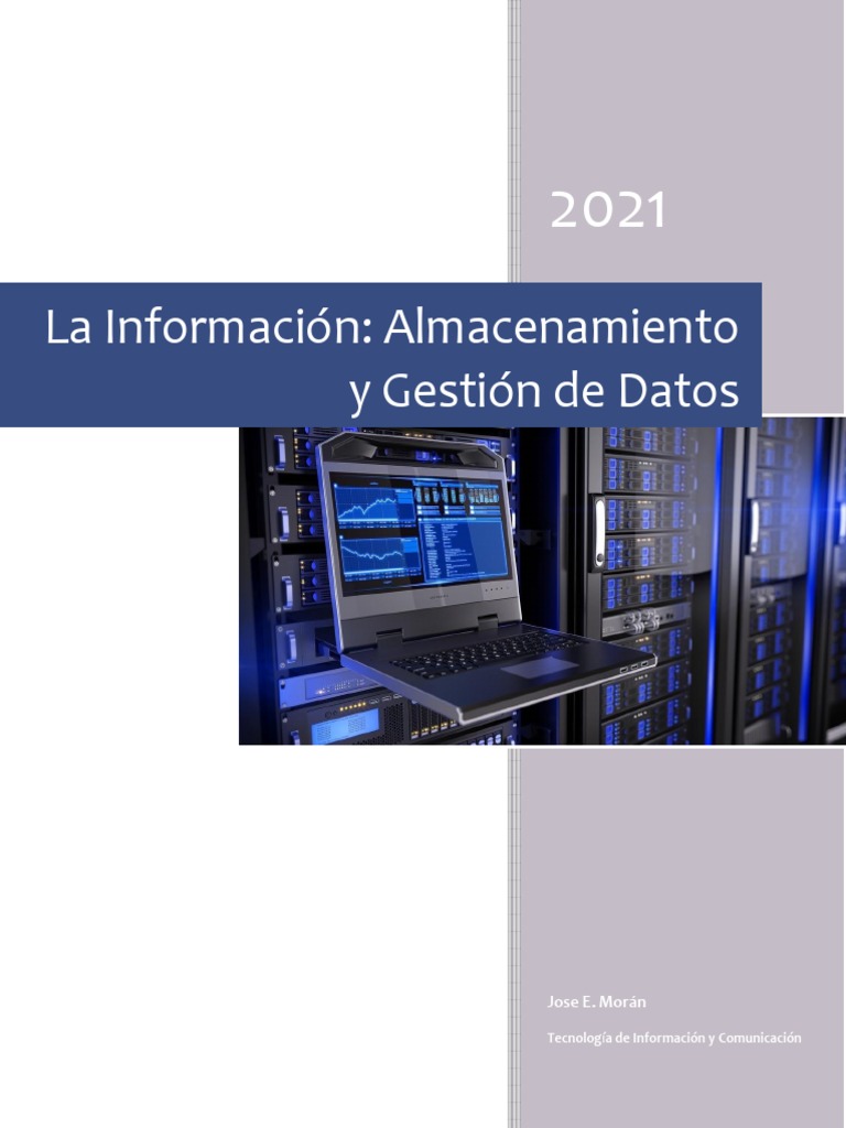 Almacenamiento y Gestión de Datos Eficiente | PDF | Informática