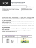 Guía - Fuerza, Efectos y Tipos