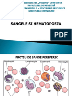 7. Sangele Si Hematopoeza