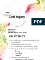 Cell Injury