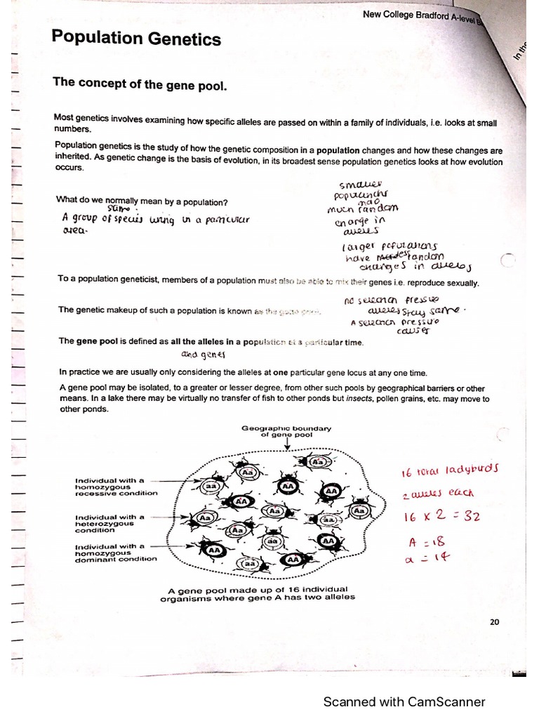 Current- Inheritance Booklet Pg 20-26 and Ppq 1-7 | PDF