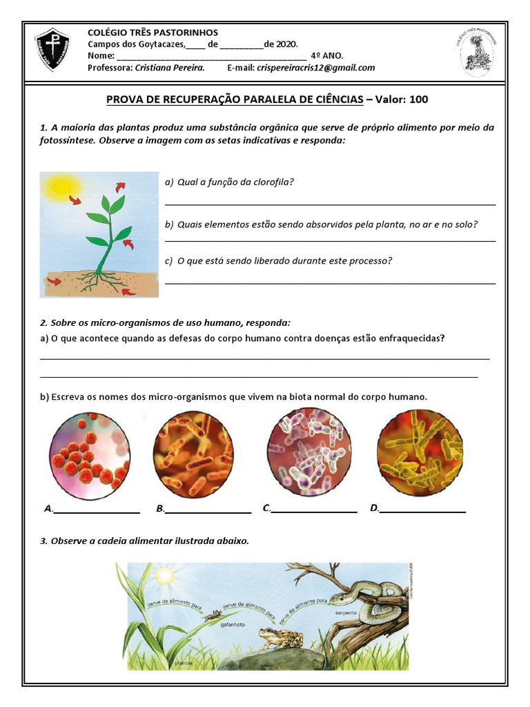 4º Ano - Prova de Recuperação de Ciências | PDF | Microrganismo | Oxigênio