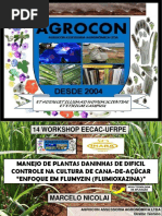 Manejo de Plantas Daninhas de Dificil Controle Na Cultura de Cana-De-Açúcar Enfoque em Flumyzin (Flumioxazina) - Marcelo Nicolai-Esalq-Sp
