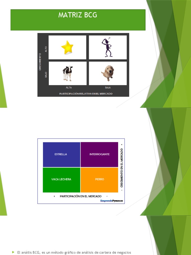 matriz-bcg-pdf-business-economias