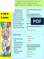 Paquete de Atención Por Etapas de Vida de La Persona - Infografía