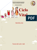 Ciclo Vital