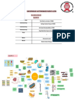 Equipo 8 - Pia - Mapa Mental Organelos