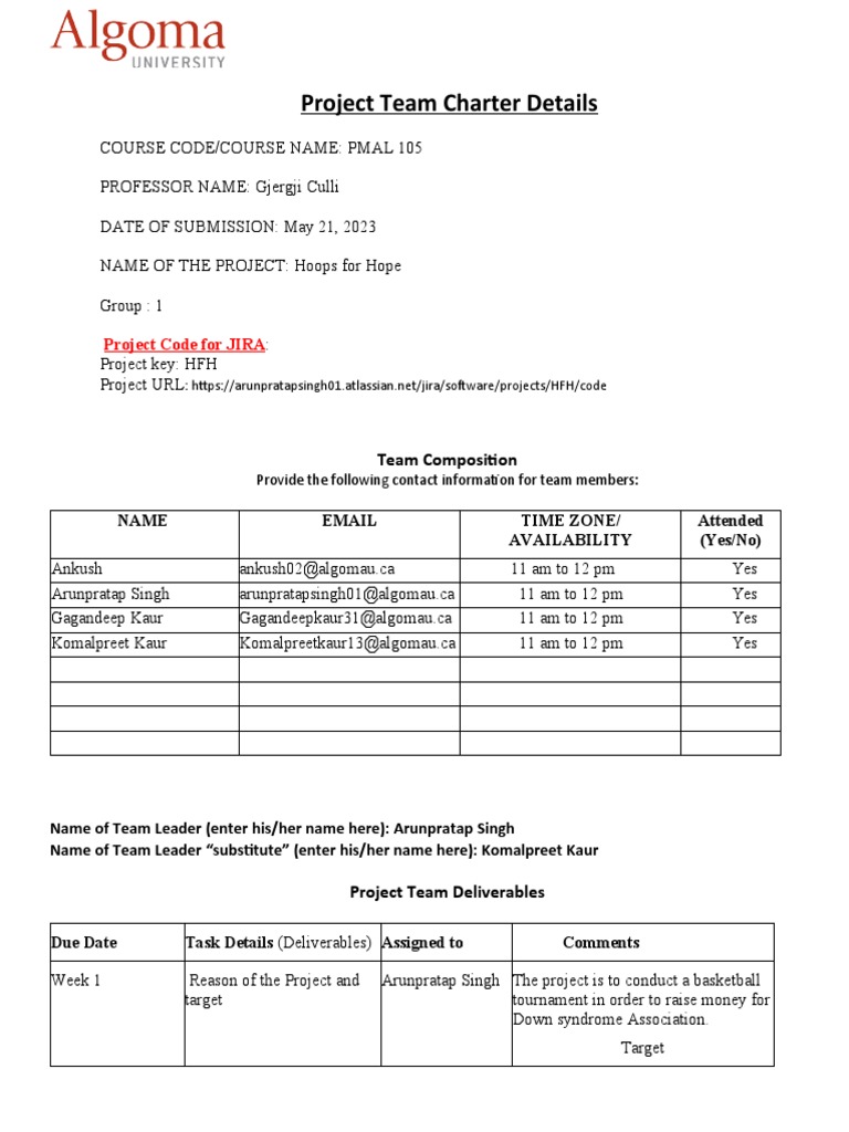 Project Team Charter for Hoops for Hope | PDF | Communication