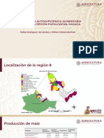 Producción y Consumo Maíz Papaloapan