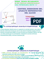 Control Endocrino Del Aparato Reproductor Del Macho