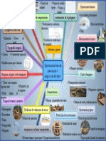 Mpa Mental de Informe