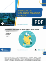 Presentacion VSP Salud Mental 2022 Junio (1529)