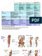 Anatomy Labs Lower - Limb