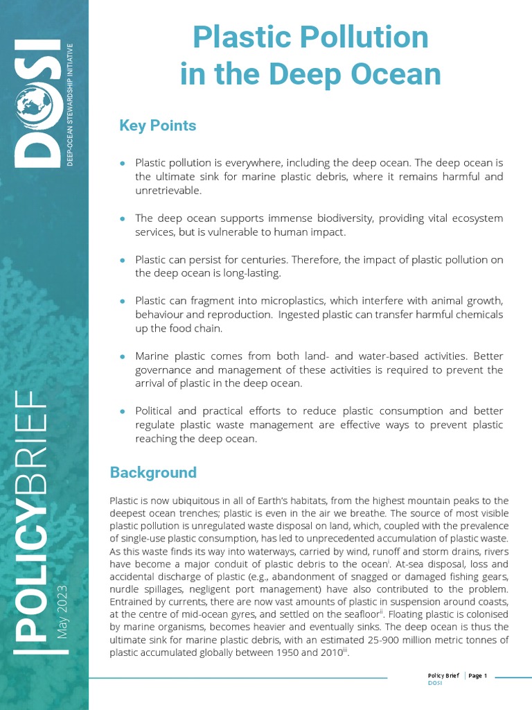 Deep Ocean Plastic Pollution Brief | PDF | Oceans | Pollution