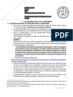 El Problema Público de La Seguridad