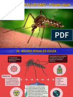 MALARIA - Plasmodium