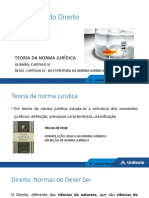 TD - Teoria Da Norma Jurídica-InTRODUÇÃO