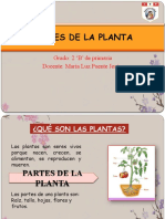 Las Partes de La Planta 2020 - Octubre